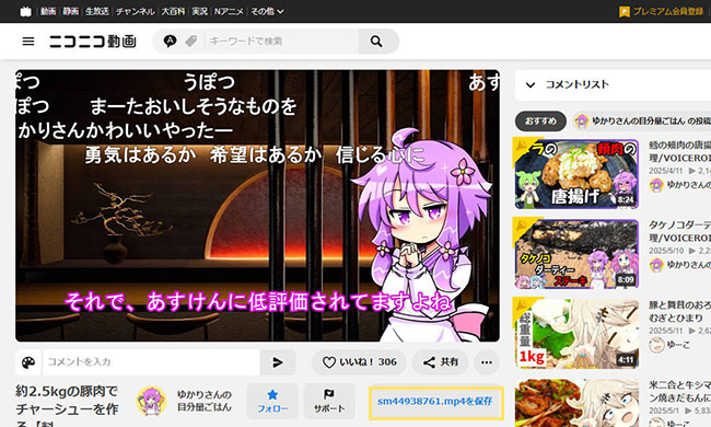 nico downloader ニコニコ動画を保存