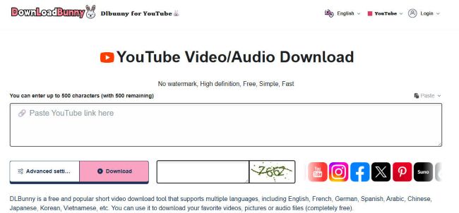 DLbunny online youtube to mp4 converter 1080p interface