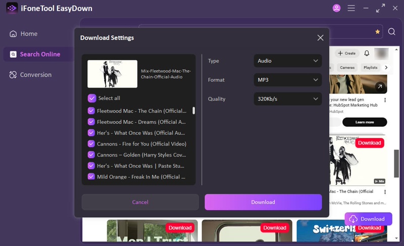 Paste link into EasyDown to convert youtube to mp3