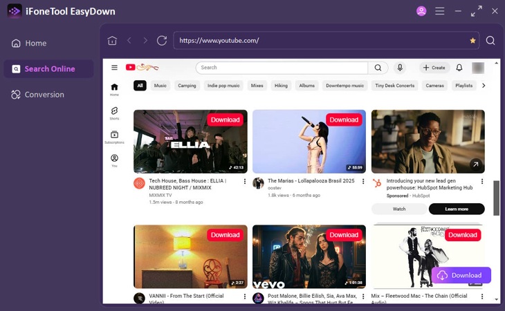 EasyDown built-in browser