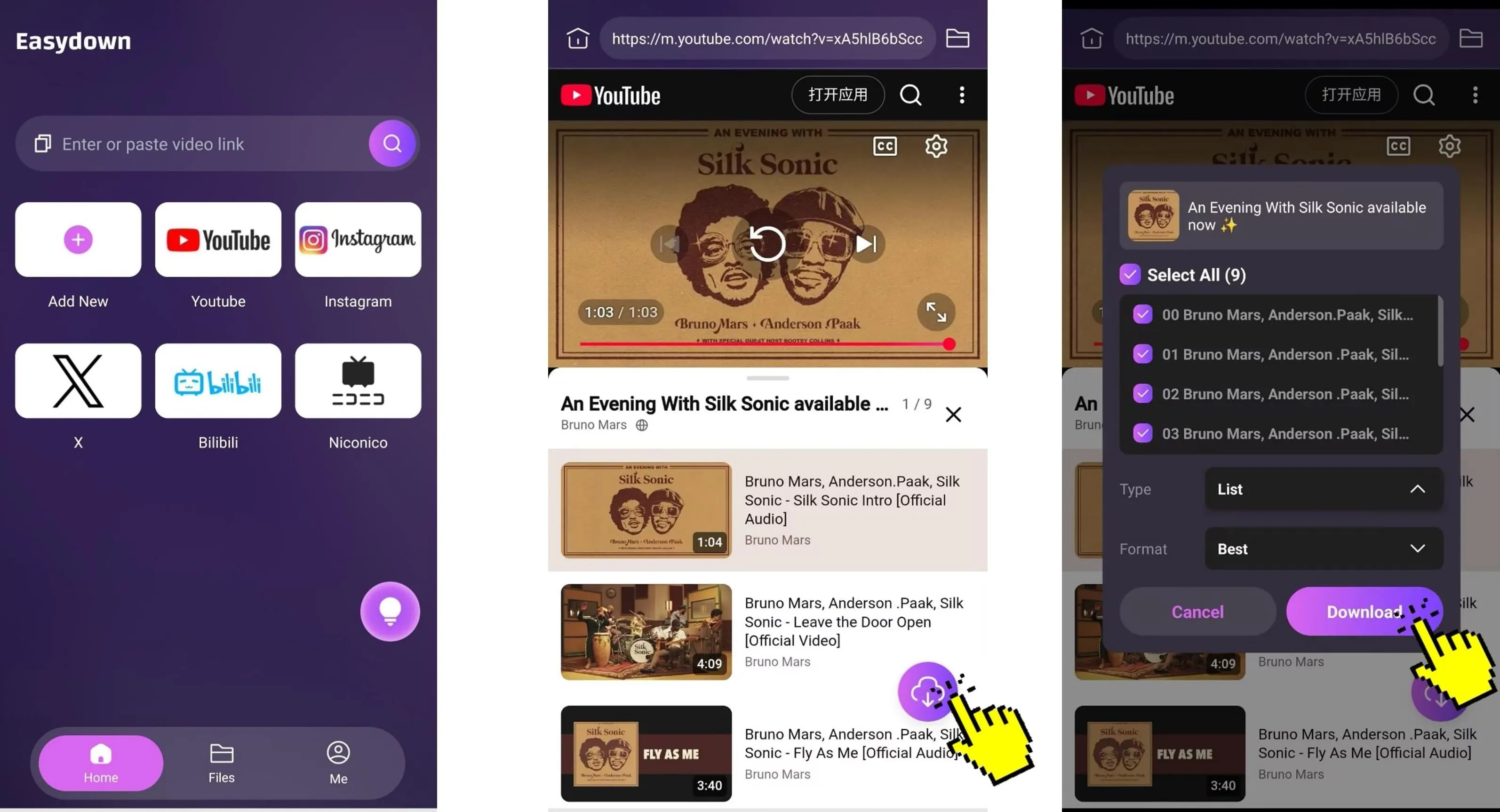 Paste Link on EasyDown App